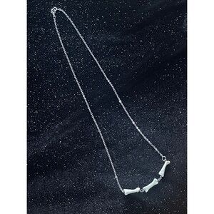 Coyote Bone Necklace